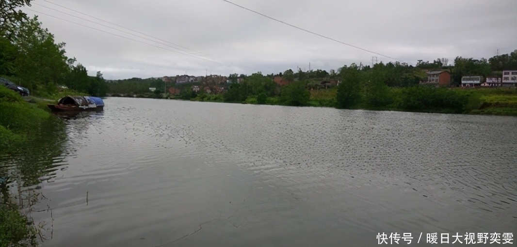 渔获|降雨前后这几种情况，与其枯坐守口，不如赶紧收杆走人