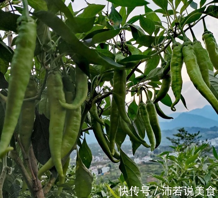 分享给你一道好吃不贵的湖名白辣椒,喜欢的快来做吧