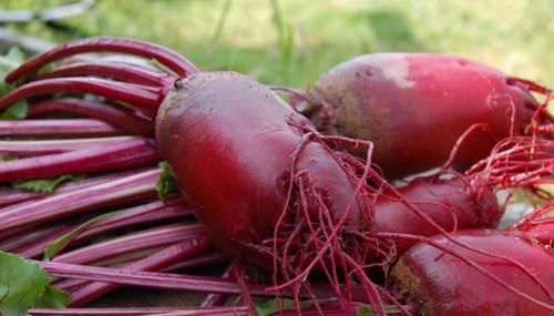 人到中年坚持吃3种食物，营养丰富，降压减脂，提高免疫力