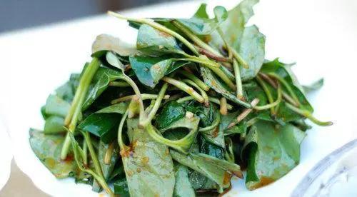 鱼腥草注射液|养肝就是保命,农村3种野菜,养肝护肝,肝脏舒服,身体才更健康