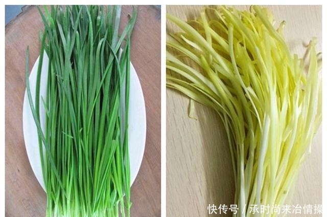 蔬菜|本是同根生蔬菜,韭菜和韭黄的区别竟然这么大知道后别再瞎买了