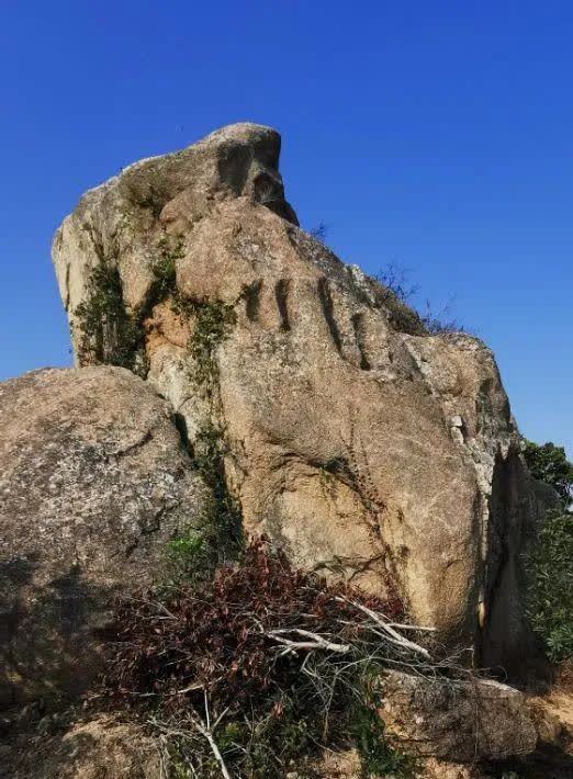 春日再游香山（作者：漳浦 宽心）