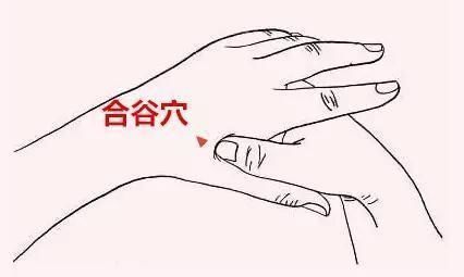 肠道|55岁，是长寿关键期，护“三处”，按“三穴”，离长寿更进一步