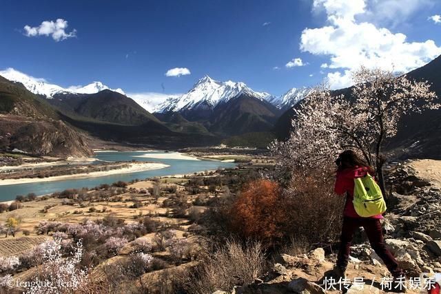 波密桃花开当桃花与雪山相遇，便成为云上仙境