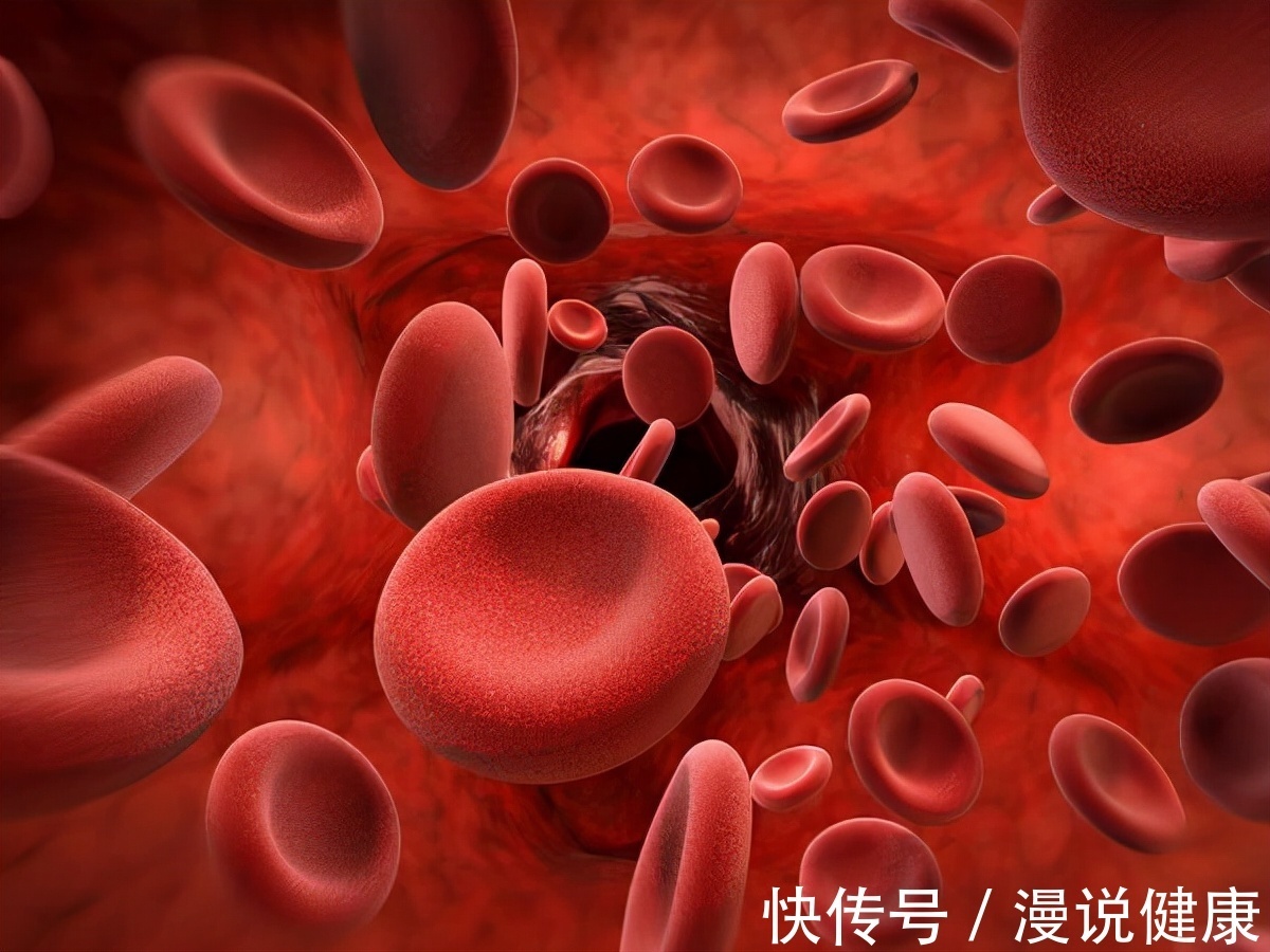 红血球|被称为血管“推土机”?常吃这5种食物,能呵护血管,预防血栓