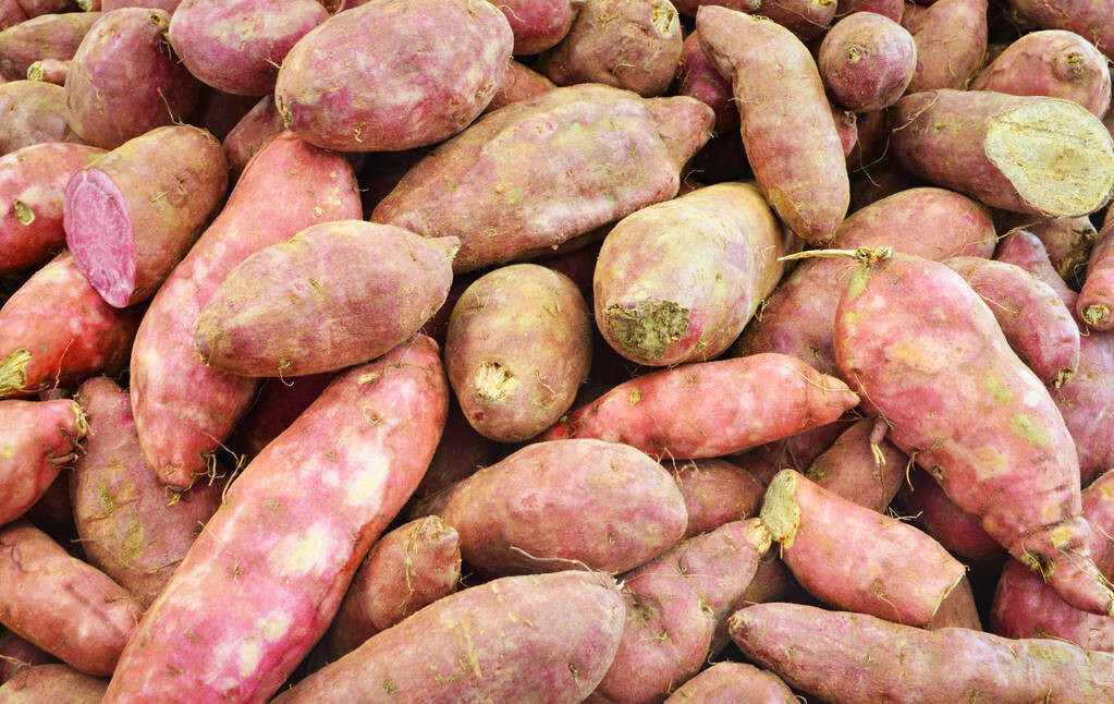 家庭|家庭保存红薯的实用方法,一个纸箱就搞定,放一年不坏,越放越甜