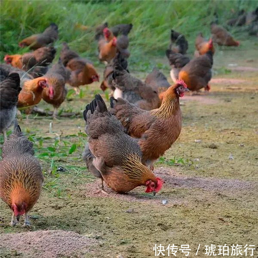 英德|【灵境石门台】-清远英德-休闲户外-仙女戏水的灵境石门台，水质超干净