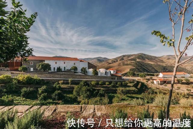 日式|中产阶级最爱的3套山林美宅，终于知道有钱人为什么喜欢乡村了！