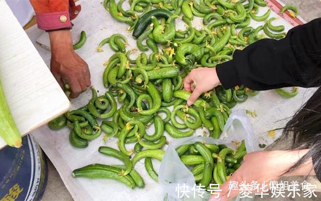 腌黄瓜时，直接加盐腌是大错特错！多加1步，黄瓜香脆又好吃