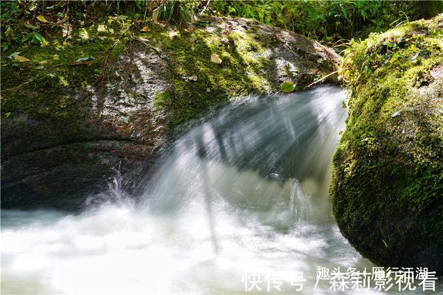 长白山|长白山深处被忽略的景区,鸳鸯池上没鸳鸯，但美的好像一幅画