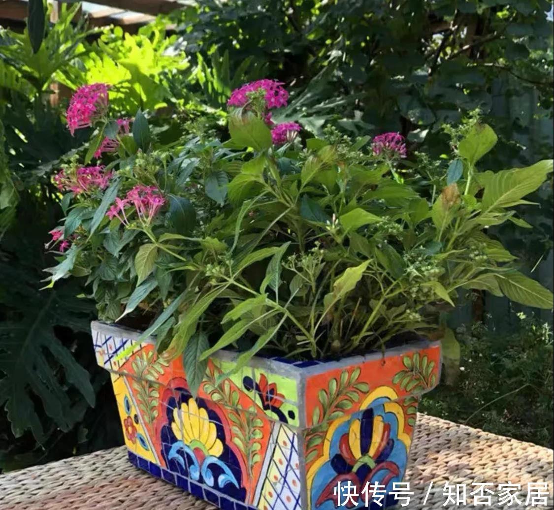 家居|日子过久了才发现，有的东西没必要买贵的，实用就行