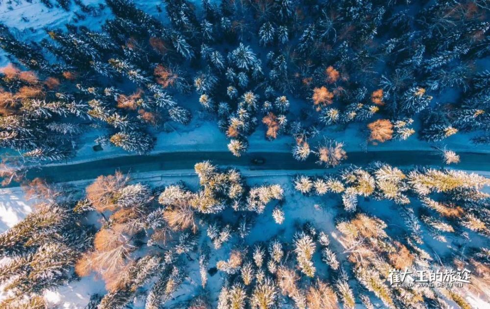 骏马|@丁真，可可托海的雪山和你的骏马更配哟！