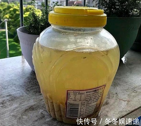 “一等养花肥”从不需花钱买,亲自动手制作,效果好还不烧苗