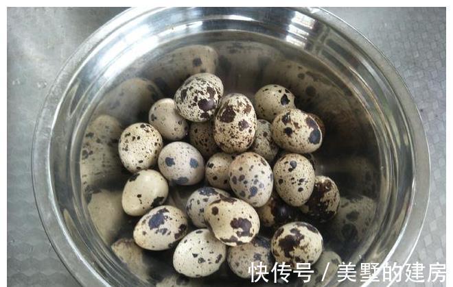 鹌鹑蛋|立秋后，1种鸟蛋要多吃，醇香入味更营养，滋补防燥家人爱