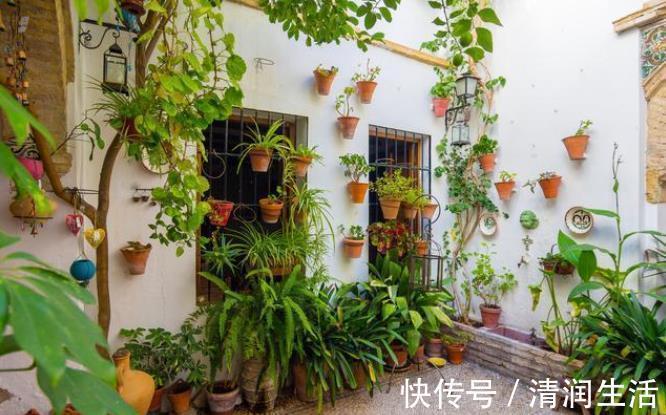 院墙|住一楼带院子的户型,做好5件事,轻松赶走潮湿