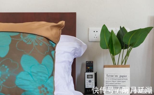 吊兰|卧室就养4种花，“养人”又养气，不是没有道理