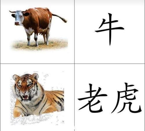 宝宝|婴儿刚发声说话,大人怎么应对,是也跟着哇啦,还是说清楚的话?