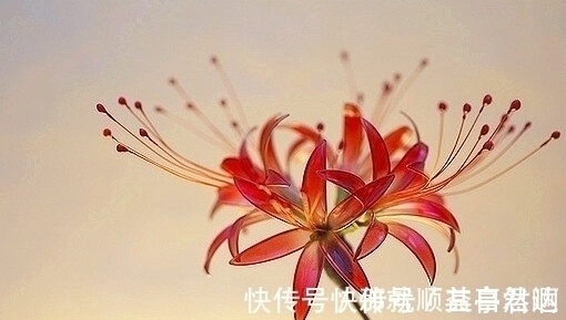 袍子们 发簪发钗发夹,汉服发饰的款式这么多,你最喜欢哪一款呢?