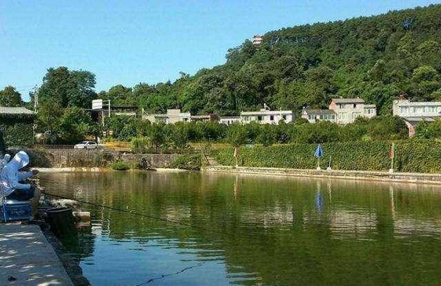 钓友|钓鱼饵料这样搭配,有助于提高上鱼频率