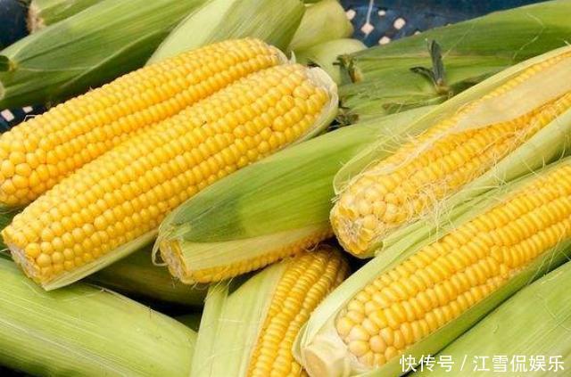 新鲜|八月趁鲜玉米便宜多买点!学会这1招,存放1年依旧新鲜,非常实用