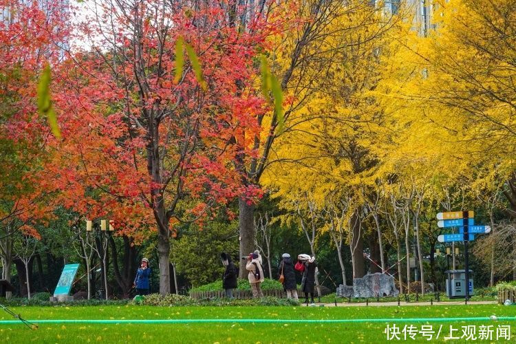 陆家嘴|陆家嘴高楼群里的小景，你到过几处？