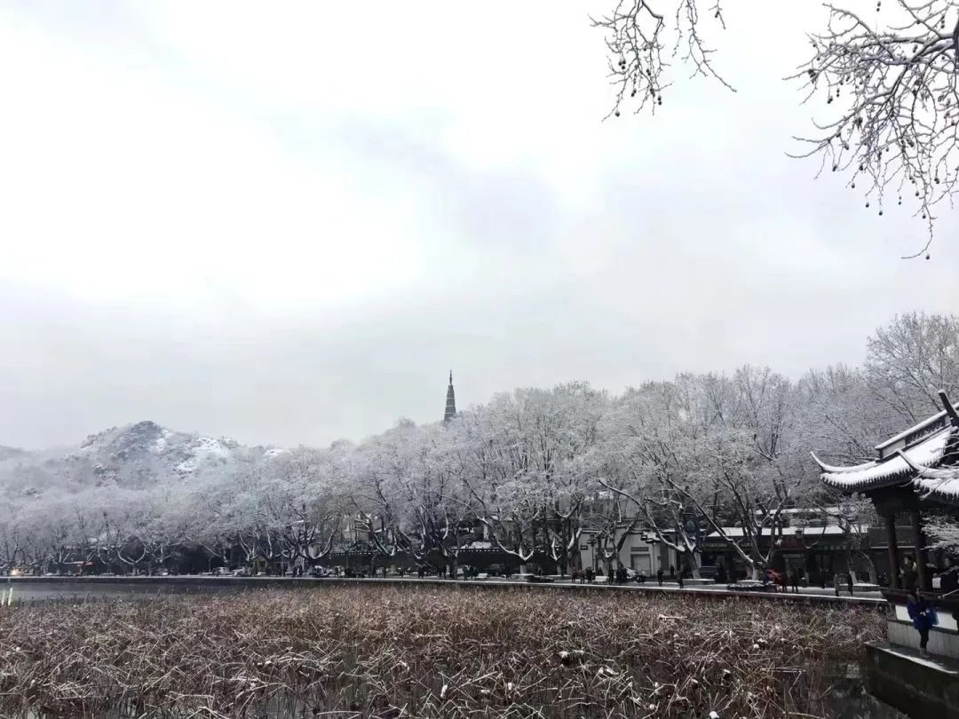 雨雪|此刻的杭州，太美了吧！