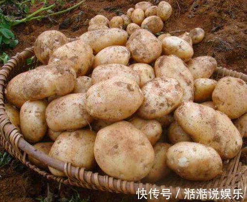 大蒜|总是把花儿养死隔壁大爷说,你加点它呀,保你养一盆旺一盆