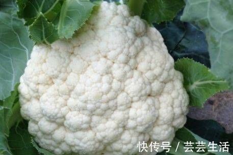 蔬菜|吃蔬菜就不会导致尿酸高？别再被误导了，这四种蔬菜越吃尿酸越高