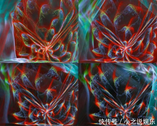 人类你别以为自己长得美,事实上,生物就该美成异形那个样……