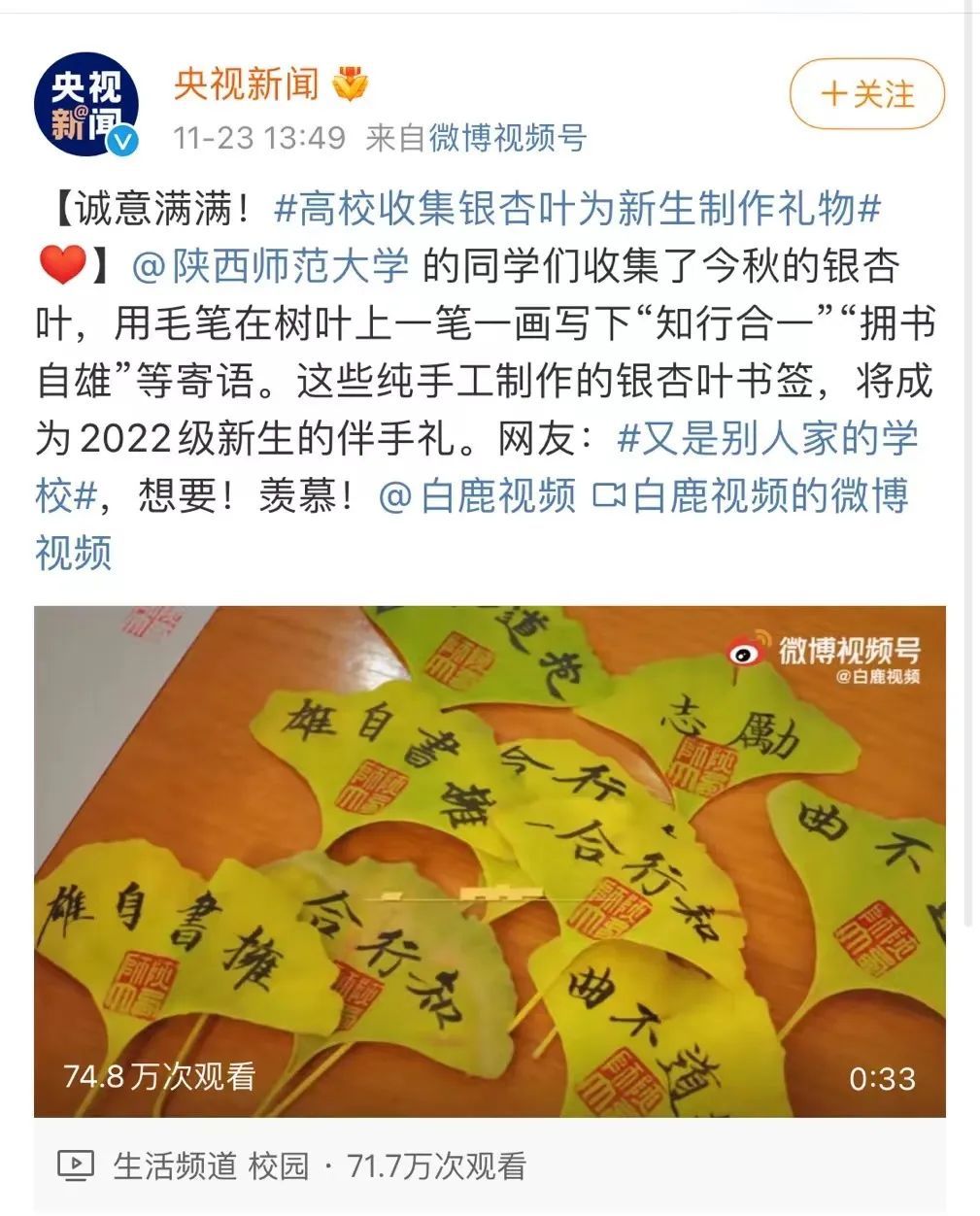 汉语言文字学|西安一高校收集落叶，只为这件事......