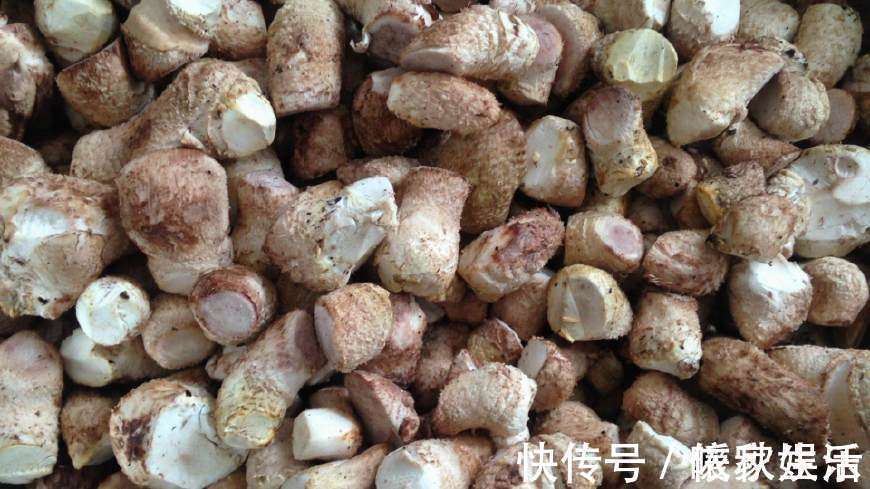 香菇根|好多人买来扔掉，超市里2块钱一大堆，简单炒一炒，营养又美味！