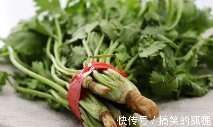 温胃散寒|“天然感冒药”找到了，常用此物煮水，连喝三天，冬天不咳嗽！