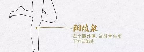  收藏|神奇的八会穴，经常拍打可调理多种疾病，收藏起来，和家人一起学