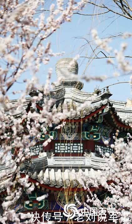 桃花含笑映湖面 颐和园又迎一年赏春时