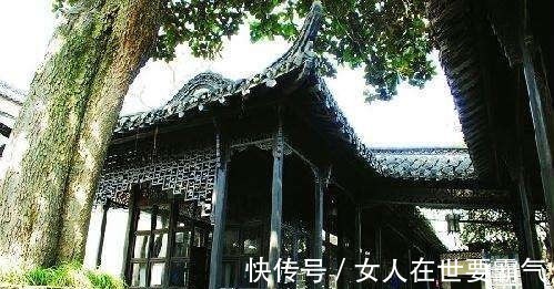 武元衡#他写下这首漂亮的讽刺诗,心中痛快淋漓,却付出沉重的代价!