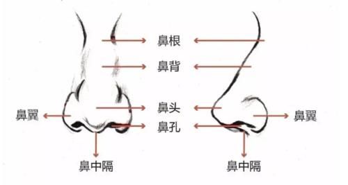 气血|人的身体有4根,影响你的颜值和气血!