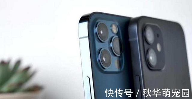 iphone12pro|苹果12和苹果12pro选择哪个好，看看对比结果就知道