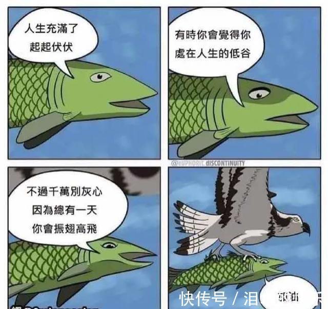 |今日笑话:下雨天出门的狗狗