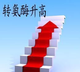 长期服用他汀类降脂药,要定期去医院做这4个检