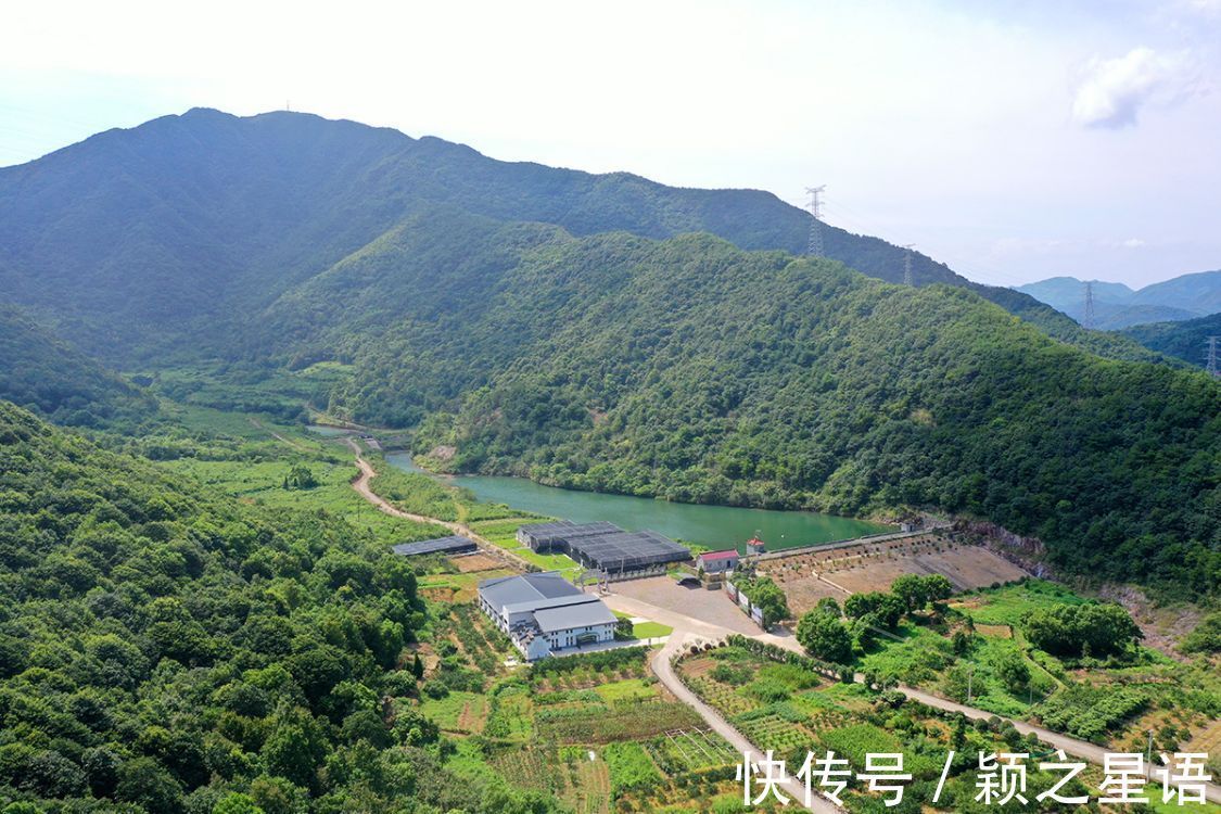 灵芝谷|象山樟岙村，灵芝谷，千年古樟的树洞越来越小