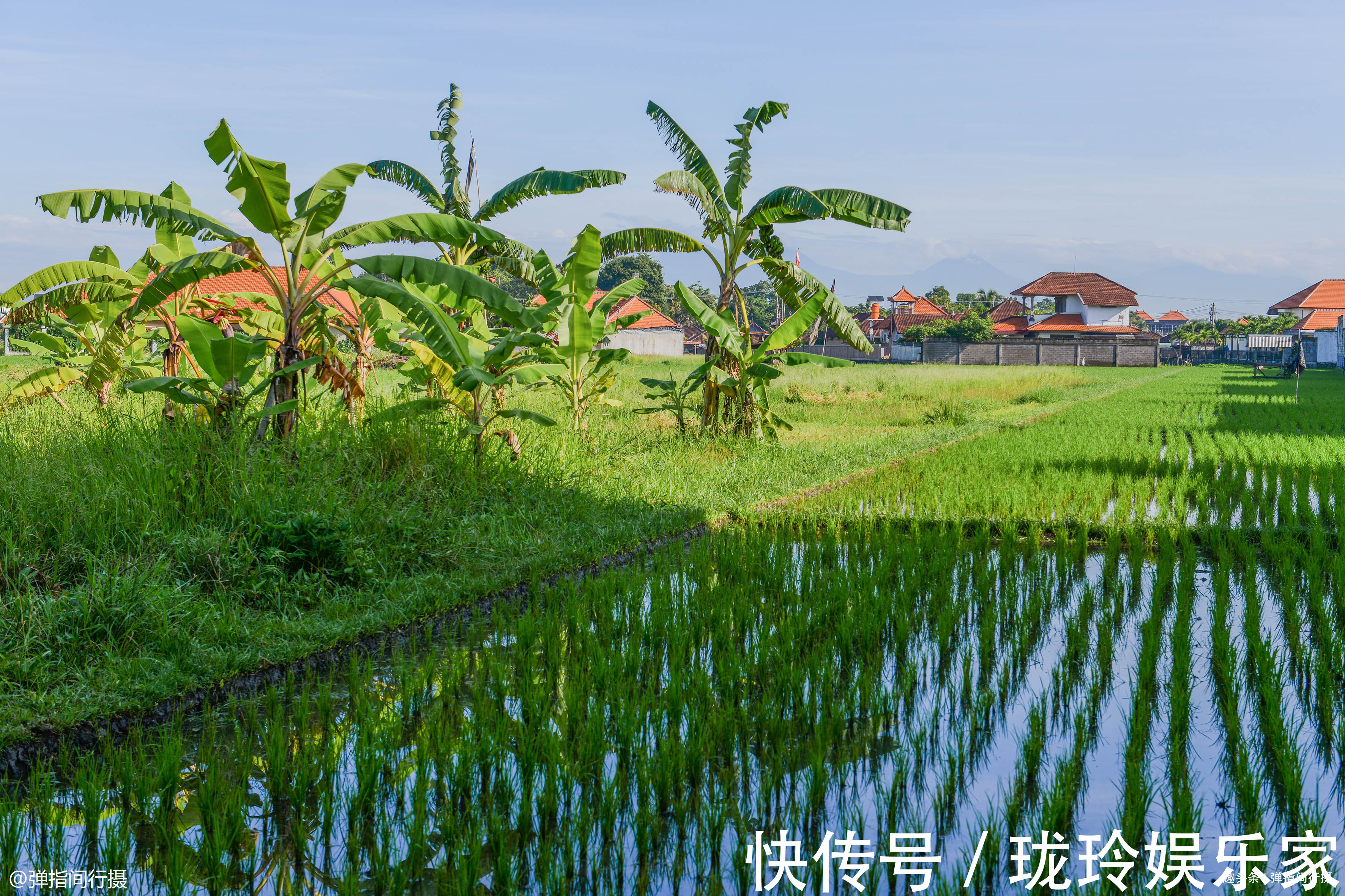 告急|巴厘岛农田告急，当地举办“稻草人节”捍卫耕地，反成旅游增长点