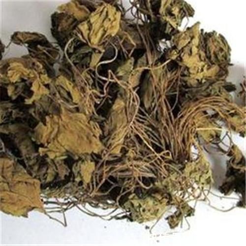 药材|毫不起眼的野草，又是野菜又是中药材，这3种经常见到