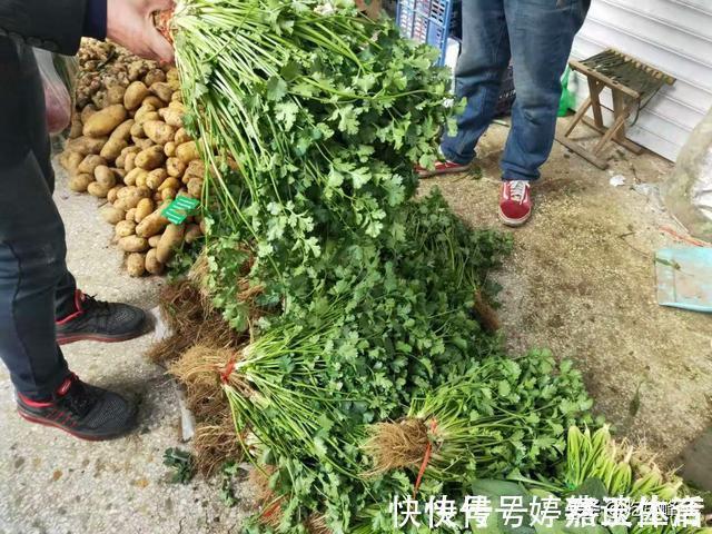 腌芥菜|买菜开销大?那是你不会买,晒晒我家一周买的菜,7天不用90元