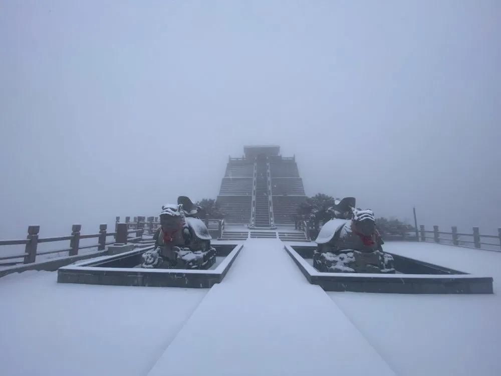  临沂|下雪了！下雪了！临沂今冬第一场雪来了