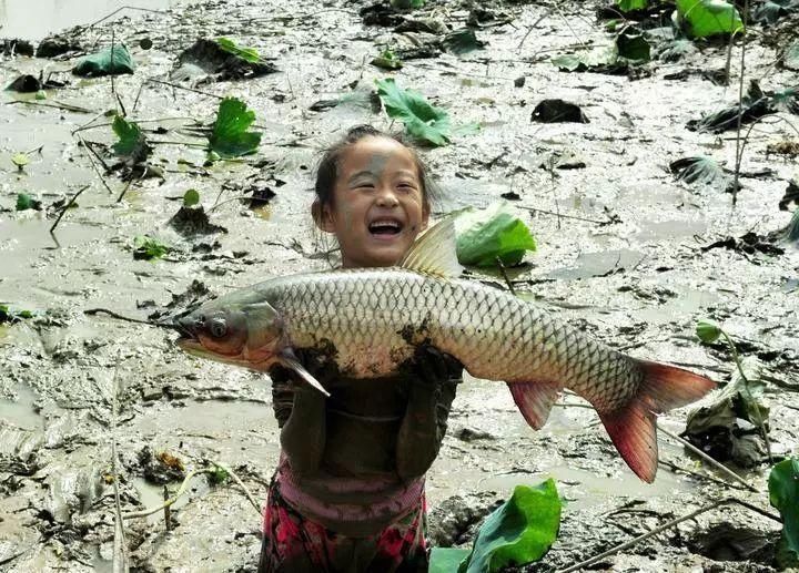 快过年了,客家农村“旱鱼塘”,你还记得吗?