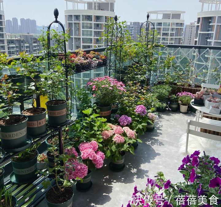 养花的“旧土”加点“废物”,又肥的流油,养花一级棒