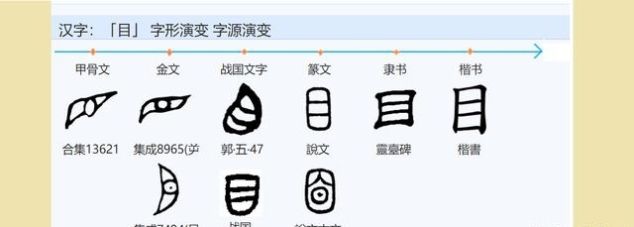 字言字语 臣 与 目 是什么关系 目有横有竖 竖目为 臣 快资讯