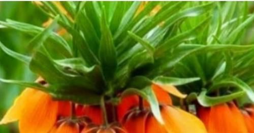 延缓衰老|每天晚上坚持吃3种食物,美容养生、延缓衰老,身体棒棒哒!