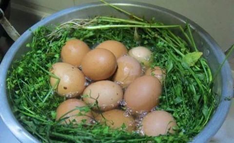 春天適合養(yǎng)血，多吃的食物，嫩膚益氣，滋陰排毒，緩解身體疲勞