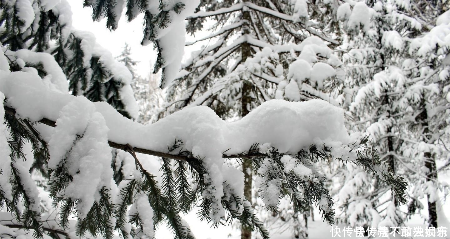 日暮苍山|刘长卿很简练的一首诗，没有引经据典，没有使用生僻字，同样写得很深刻